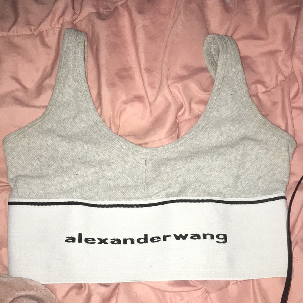 Alexander wang sports bra .